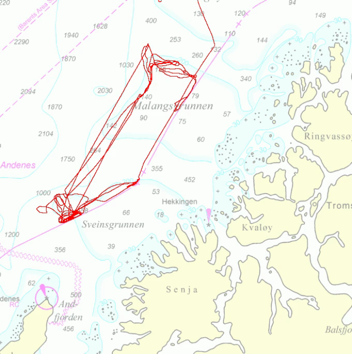 Taurus nord for Andøya